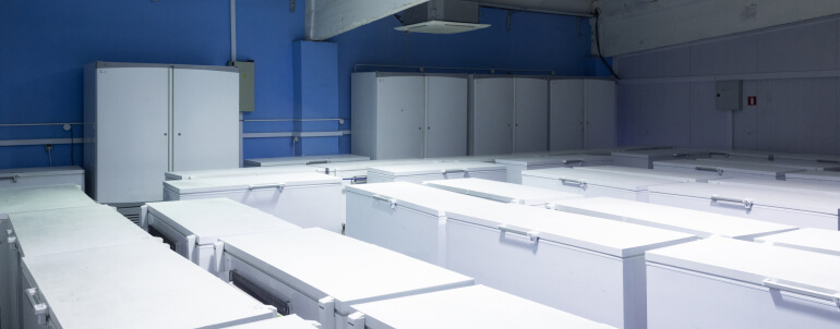Cold rooms & freezers