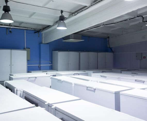 Cold rooms & freezers